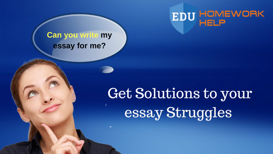 Five Tips to Develop Essay Writing Brilliance A Guide to Write Successful Essay